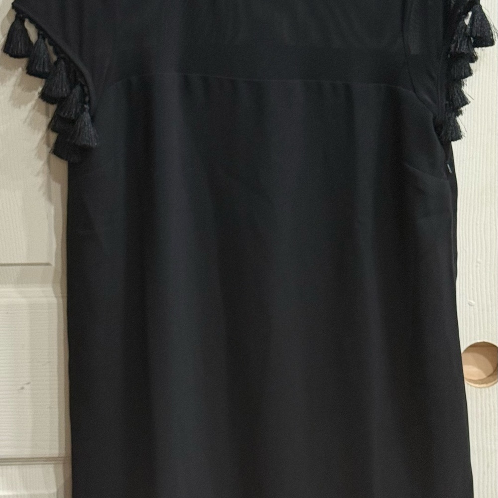Lulu's Sheer Black Top